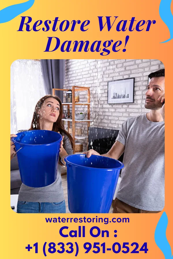 water restoration Ideal Flood Damage Solutions Hamersville