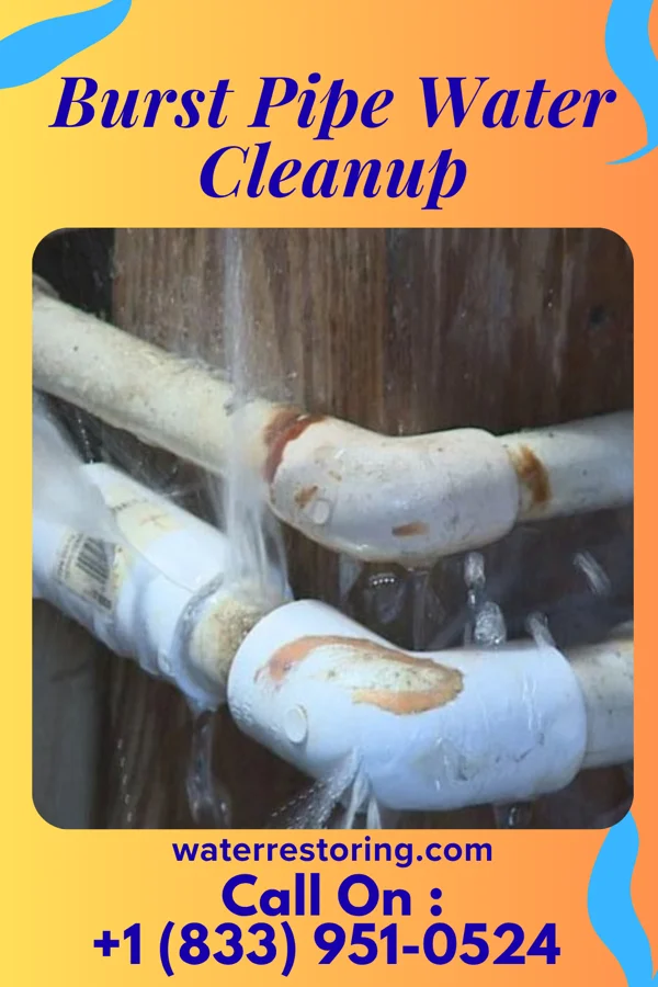 Burst Pipe Water Cleanup in Hamersville, OH