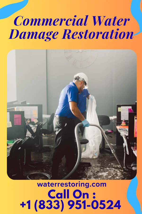 Commercial Water Damage Restoration in Hamersville, OH