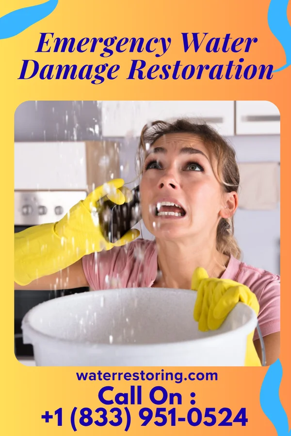 Emergency Water Damage Restoration in Hamersville, OH