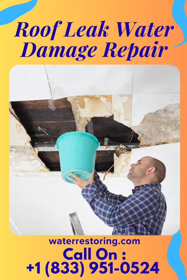 Roof Leak Water Damage Repair in Hamersville, OH