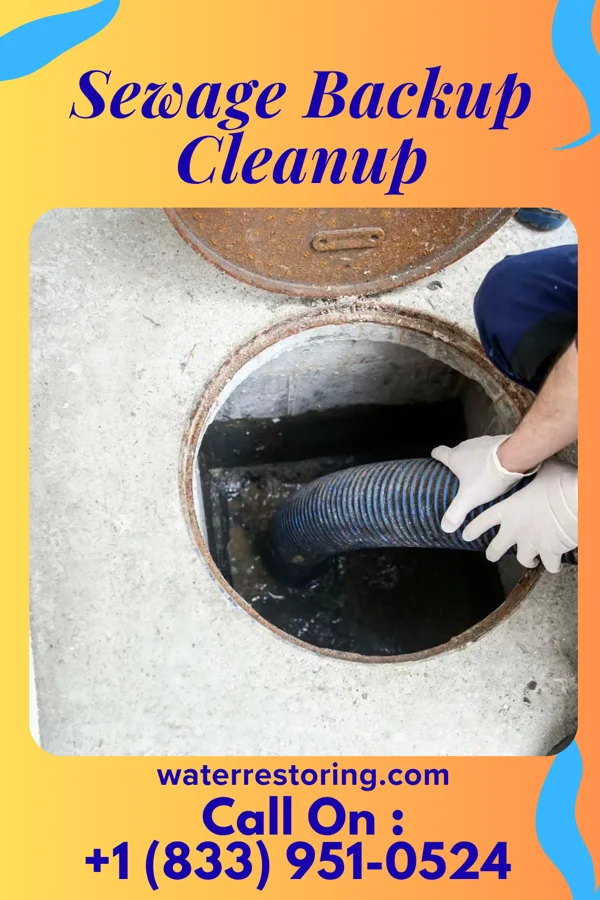 Sewage Backup Cleanup in Hamersville, OH