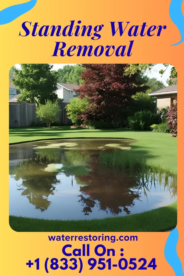 Standing Water Removal in Hamersville, OH